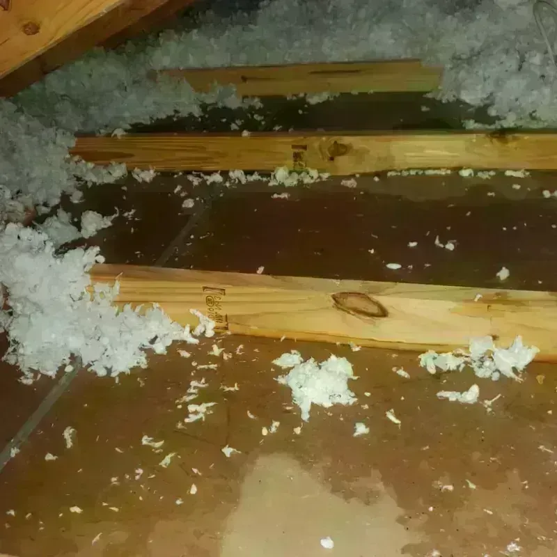 Attic Water Damage in Coamo, PR